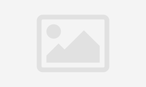 CURSO DE FORMAÇÃO PARA PROFISSIONAIS DO APOIO PARA INCLUSÃO