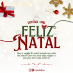 Que a magia do natal transforme tudo em amor! Que seu natal seja mágico e seu ano novo seja incrível.